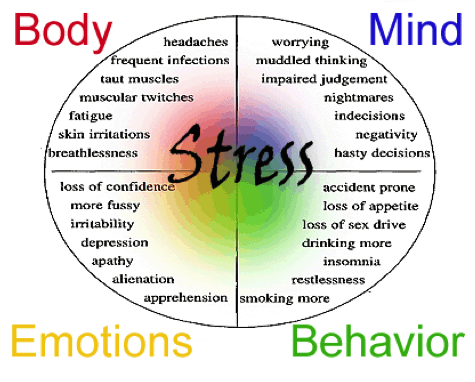 http://study.com/academy/lesson/long-term-stress-symptoms-effects-lesson.html