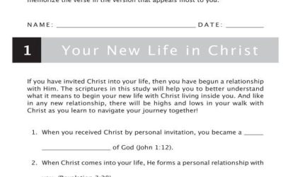 Basic Discipleship Lessons, Your New Life in Christ