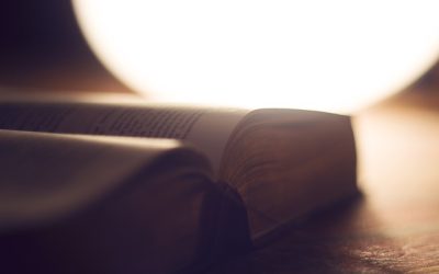 Basic Bible Studies for New and Growing Christians