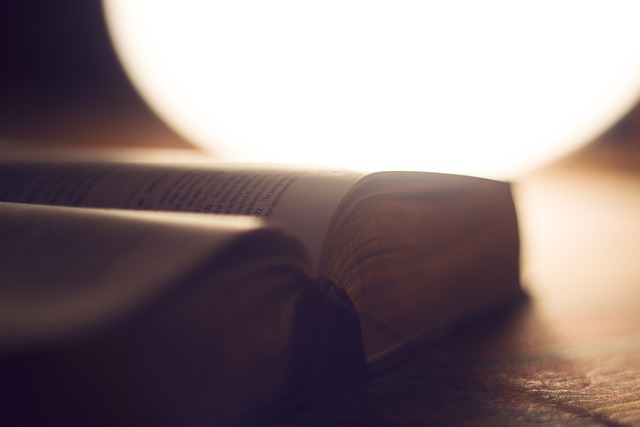 Basic Bible Studies for New and Growing Christians